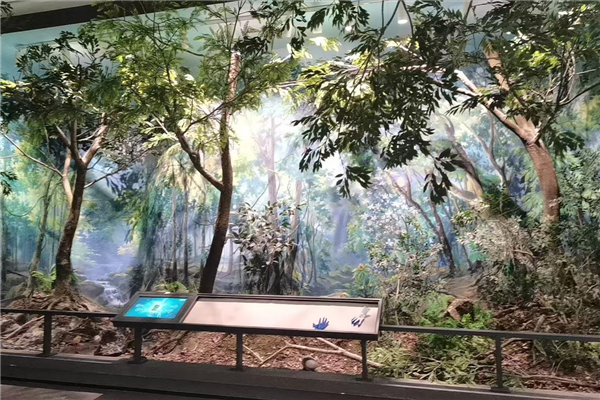 浙江百山祖自然博物馆